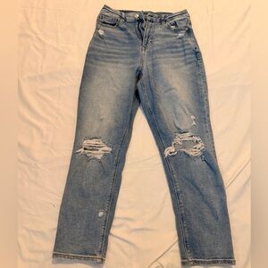 American Eagle Outfitters Light Blue Distressed Skinny Jeans